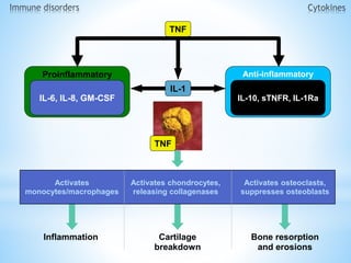 Exploring the Interconnection Between Rheumatic Disease and the Immune ...