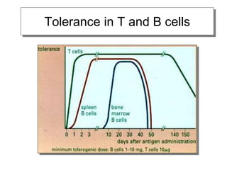 Tolerance in T and B cells
 