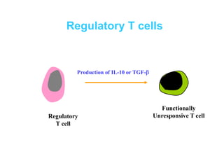 Regulatory T cells
Functionally
Unresponsive T cell
Production of IL-10 or TGF-
Regulatory
T cell
 