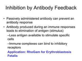 Inhibition by Antibody Feedback
• Passively administered antibody can prevent an
antibody response
• Antibody produced during an immune responses
leads to elimination of antigen (stimulus)
–Less antigen available to stimulate specific
cells
–Immune complexes can bind to inhibitory
receptors
Application: RhoGam for Erythroblastosis
Fetalis
 