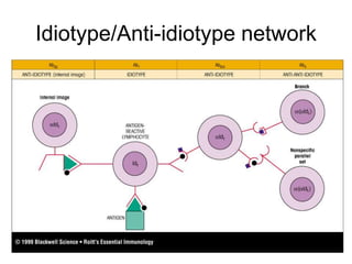Idiotype/Anti-idiotype network
 