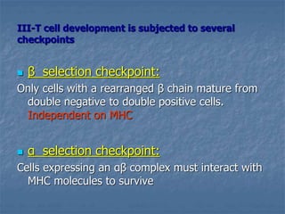 III-T cell development is subjected to several
checkpoints
 β selection checkpoint:
Only cells with a rearranged β chain mature from
double negative to double positive cells.
Independent on MHC
 α selection checkpoint:
Cells expressing an αβ complex must interact with
MHC molecules to survive
 