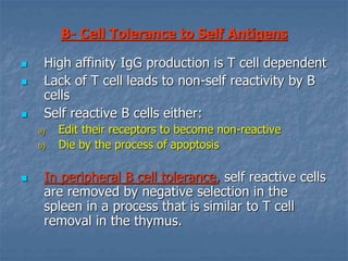 B- Cell Tolerance to Self Antigens
 High affinity IgG production is T cell dependent
 Lack of T cell leads to non-self reactivity by B
cells
 Self reactive B cells either:
a) Edit their receptors to become non-reactive
b) Die by the process of apoptosis
 In peripheral B cell tolerance, self reactive cells
are removed by negative selection in the
spleen in a process that is similar to T cell
removal in the thymus.
 