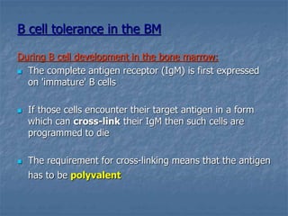 B cell tolerance in the BM
During B cell development in the bone marrow:
 The complete antigen receptor (IgM) is first expressed
on 'immature' B cells
 If those cells encounter their target antigen in a form
which can cross-link their IgM then such cells are
programmed to die
 The requirement for cross-linking means that the antigen
has to be polyvalent
 