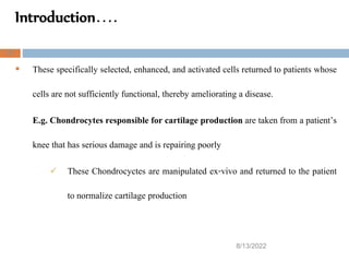 Introduction….
8/13/2022
27
 These specifically selected, enhanced, and activated cells returned to patients whose
cells are not sufficiently functional, thereby ameliorating a disease.
E.g. Chondrocytes responsible for cartilage production are taken from a patient’s
knee that has serious damage and is repairing poorly
 These Chondrocyctes are manipulated ex-vivo and returned to the patient
to normalize cartilage production
 