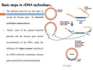 Basic steps in rDNA technology…
8/13/2022
71
 The plasmid must be cut and open to
accept the human gene by bacterial
restrictionendonucleases.
 Sticky’ ends of the opened bacterial
plasmid and the human gene permit
recombination of the DNA, under the
influence of a ligase enzyme resulting in
an r-DNA molecule containing a human
gene inserted into a bacterial plasmid.
 