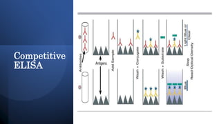 Competitive Elisa Example Immunological Assay.pptx