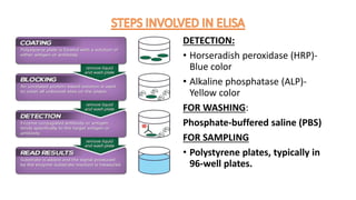 DETECTION:
• Horseradish peroxidase (HRP)-
Blue color
• Alkaline phosphatase (ALP)-
Yellow color
FOR WASHING:
Phosphate-buffered saline (PBS)
FOR SAMPLING
• Polystyrene plates, typically in
96-well plates.
 