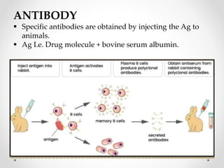 ANTIBODY
 Specific antibodies are obtained by injecting the Ag to
animals.
 Ag I.e. Drug molecule + bovine serum albumin.
 