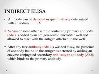 INDIRECT ELISA
 Antibody can be detected or quantitatively determined
with an indirect ELISA.
 Serum or some other sample containing primary antibody
(Ab1) is added to an antigen-coated microtiter well and
allowed to react with the antigen attached to the well.
 After any free antibody (Ab1) is washed away, the presence
of antibody bound to the antigen is detected by adding an
enzyme-conjugated secondary anti-isotype antibody (Ab2),
which binds to the primary antibody.
 