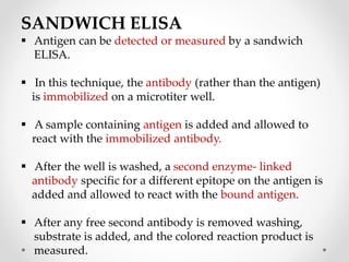 SANDWICH ELISA
 Antigen can be detected or measured by a sandwich
ELISA.
 In this technique, the antibody (rather than the antigen)
is immobilized on a microtiter well.
 A sample containing antigen is added and allowed to
react with the immobilized antibody.
 After the well is washed, a second enzyme- linked
antibody specific for a different epitope on the antigen is
added and allowed to react with the bound antigen.
 After any free second antibody is removed washing,
substrate is added, and the colored reaction product is
measured.
 