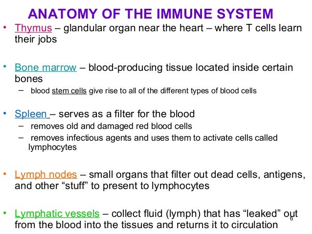 Immunological disorders 2010