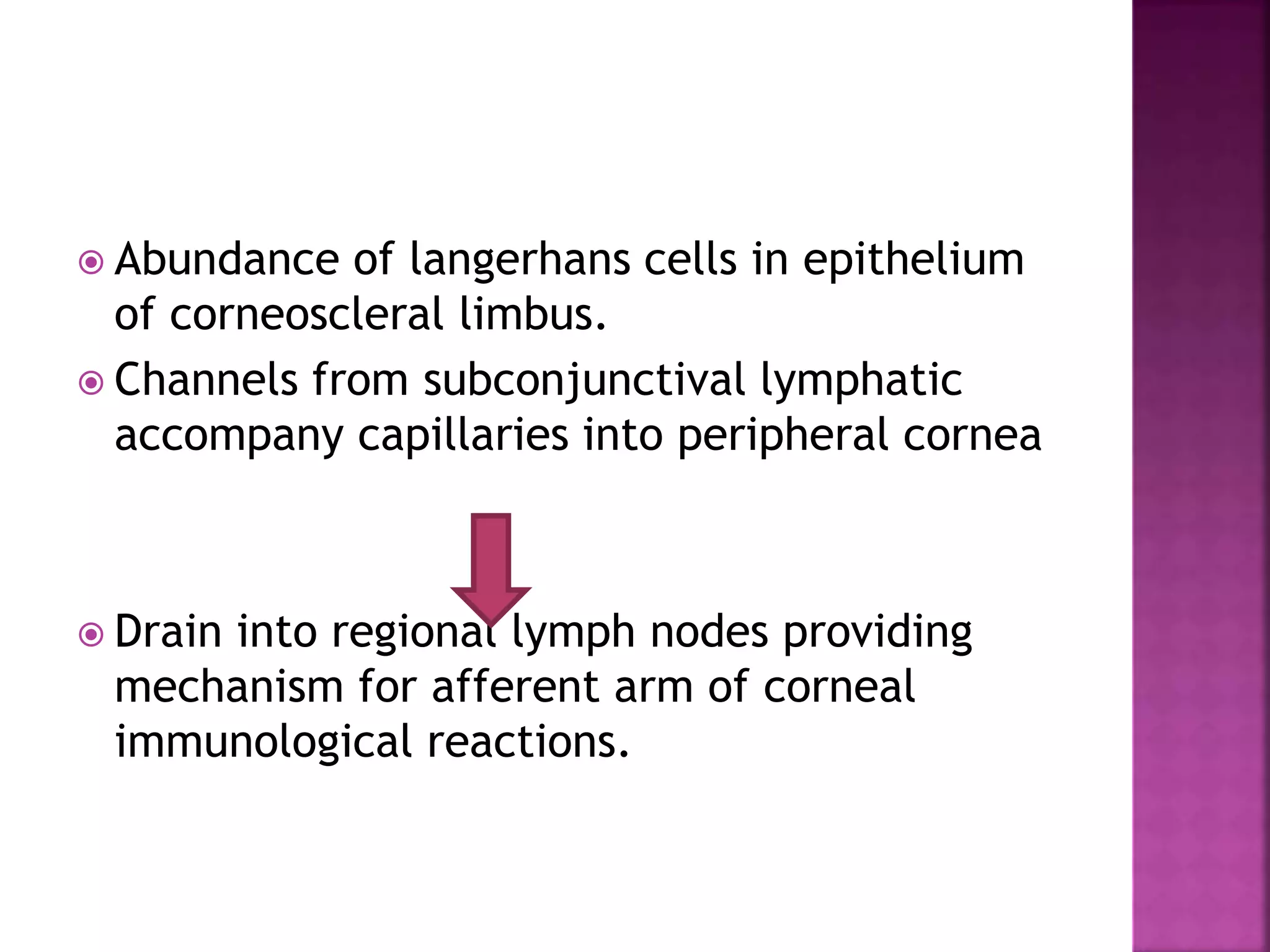  Abundance of langerhans cells in epithelium
of corneoscleral limbus.
 Channels from subconjunctival lymphatic
accompany capillaries into peripheral cornea
 Drain into regional lymph nodes providing
mechanism for afferent arm of corneal
immunological reactions.
 
