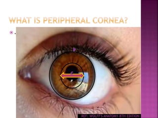  .
REF: WOLFF'S ANATOMY-8TH EDITION
 