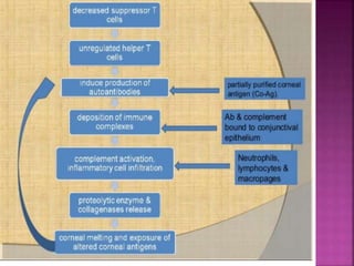 Trauma, cross
immunity,
surgery
Recognition of
hidden antigen
plus genetically
predisposed
Deposition of
immune
complexes
Activation of
lymphocytes and
recruitment of
neutrophils
puk
 