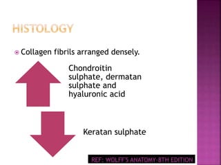  Collagen fibrils arranged densely.
Chondroitin
sulphate, dermatan
sulphate and
hyaluronic acid
Keratan sulphate
REF: WOLFF'S ANATOMY-8TH EDITION
 