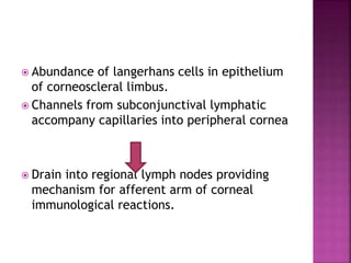  Abundance of langerhans cells in epithelium
of corneoscleral limbus.
 Channels from subconjunctival lymphatic
accompany capillaries into peripheral cornea
 Drain into regional lymph nodes providing
mechanism for afferent arm of corneal
immunological reactions.
 