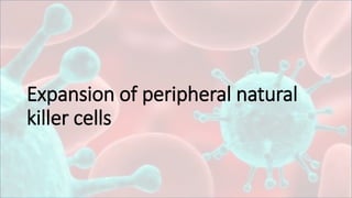 Expansion of peripheral natural
killer cells
 