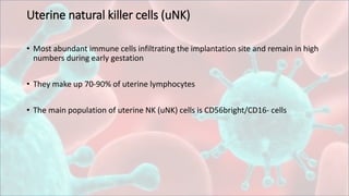 Uterine natural killer cells (uNK)
• Most abundant immune cells infiltrating the implantation site and remain in high
numbers during early gestation
• They make up 70-90% of uterine lymphocytes
• The main population of uterine NK (uNK) cells is CD56bright/CD16- cells
 