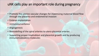uNK cells play an important role during pregnancy
• Promote the uterine vascular changes for maximizing maternal blood flow
through the placenta and endometrial invasion
• Embryo implantation
• Immunosurveillance
• Angiogenesis
• Remodelling of the spiral arteries to utero-placental arteries
• Supporting proper trophoblast and placental growth and by producing
immunomodulatory molecules
 