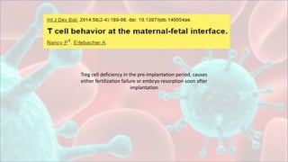 Treg cell deficiency in the pre-implantation period, causes
either fertilization failure or embryo resorption soon after
implantation
 