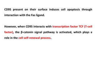 Comprehensive Overview of Immunological Memory: T and B Cell Dynamics | PDF