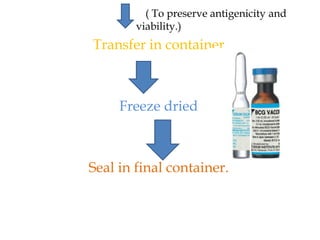 ( To preserve antigenicity and
viability.)
Transfer in container
Freeze dried
Seal in final container.
 