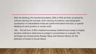 • After the blotting, the transferred proteins, DNA or RNA are then visualized by
colorant staining (for example, silver staining of proteins), autoradiographic
visualization of radiolabelled molecules (performed before the blot), or specific
labelling of some proteins or nucleic acids
• RIA : The full form of RIA is Radioimmunoassay. Radioimmuno assay is a highly
sensitive method to determine an antigen’s concentration in a sample. This
technique was introduced by Rosalyn Yalow and Solomon Berson for the
detection of insulin in human blood.
 