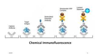 Chemical Immunofluorescence
3/22/2021 13
 