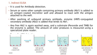 1. Indirect ELISA
• It is used for Antibody detection.
• Serum or some other sample containing primary antibody (Ab1) is added to
an antigen-coated microtiter well and allowed to react with the antigen
attached to the well.
• After washing of unbound primary antibody, enzyme (HRP)-conjugated
secondary antibody (Ab2) is added that binds to Ab1.
• Any free Ab2 is again washed away, and a substrate (Peroxide and TMB) for
the enzyme is added. The amount of color produces is measured using a
specialized plate reader.
• Example: HIV detection.
3/22/2021 16
 
