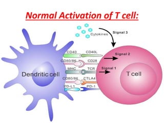 Normal Activation of T cell:
 