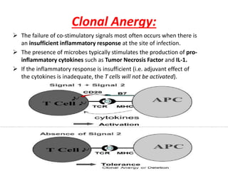 Clonal Anergy:
 The failure of co-stimulatory signals most often occurs when there is
an insufficient inflammatory response at the site of infection.
 The presence of microbes typically stimulates the production of pro-
inflammatory cytokines such as Tumor Necrosis Factor and IL-1.
 If the inflammatory response is insufficient (i.e. adjuvant effect of
the cytokines is inadequate, the T cells will not be activated).
 