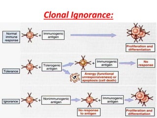 Clonal Ignorance:
 