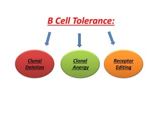 B Cell Tolerance:
Clonal
Deletion
Clonal
Anergy
Receptor
Editing
 