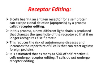 Receptor Editing:
 B cells bearing an antigen receptor for a self protein
can escape clonal deletion (apoptosis) by a process
called receptor editing.
 In this process, a new, different light chain is produced
that changes the specificity of the receptor so that it no
longer recognizes a self protein.
 This reduces the risk of autoimmune diseases and
increases the repertoire of B cells that can react against
foreign proteins.
 It is estimated that as many as 50% of self-reactive B
cells undergo receptor editing. T cells do not undergo
receptor editing.
 