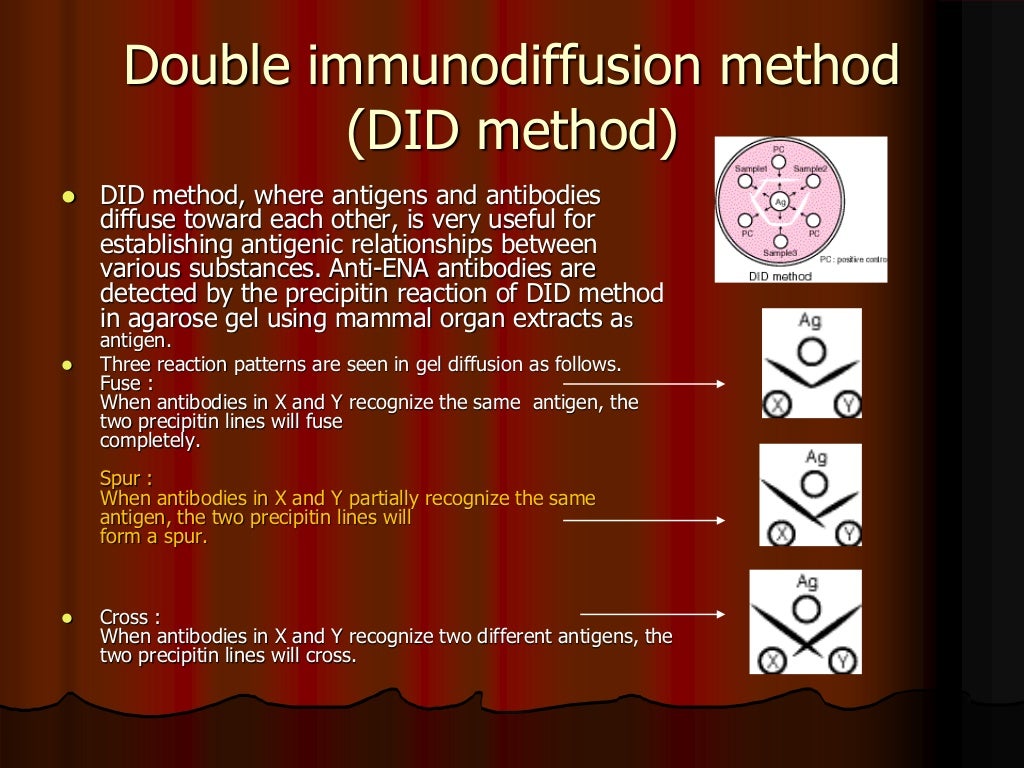 Laboratory tests in autoimmune disease Prof naglaa shawki el kilani