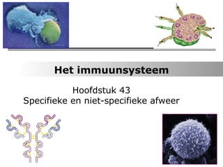 Het immuunsysteem Hoofdstuk 43 Specifieke en niet-specifieke afweer BvD 