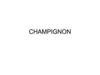 CHAMPIGNON

 