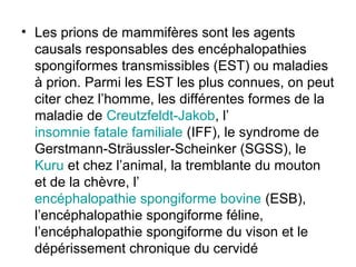 • Les prions de mammifères sont les agents
causals responsables des encéphalopathies
spongiformes transmissibles (EST) ou maladies
à prion. Parmi les EST les plus connues, on peut
citer chez l’homme, les différentes formes de la
maladie de Creutzfeldt-Jakob, l’
insomnie fatale familiale (IFF), le syndrome de
Gerstmann-Sträussler-Scheinker (SGSS), le
Kuru et chez l’animal, la tremblante du mouton
et de la chèvre, l’
encéphalopathie spongiforme bovine (ESB),
l’encéphalopathie spongiforme féline,
l’encéphalopathie spongiforme du vison et le
dépérissement chronique du cervidé

 