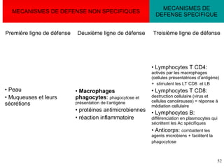 MECANISMES DE DEFENSE NON SPECIFIQUES

Première ligne de défense

Deuxième ligne de défense

MECANISMES DE
DEFENSE SPECIFIQUE
Troisième ligne de défense

• Lymphocytes T CD4:
activés par les macrophages
(cellules présentatrices d’antigène)
+ stimulent les LT CD8 et LB

• Peau
• Muqueuses et leurs
sécrétions

• Macrophages
phagocytes: phagocytose et
présentation de l’antigène

• protéines antimicrobiennes
• réaction inflammatoire

• Lymphocytes T CD8:
destruction cellulaire (virus et
cellules cancéreuses) = réponse à
médiation cellulaire

• Lymphocytes B:
différenciation en plasmocytes qui
sécrètent les Ac spécifiques

• Anticorps: combattent les
agents microbiens + facilitent la
phagocytose

52

 