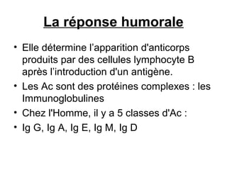 La réponse humorale
• Elle détermine l’apparition d'anticorps
produits par des cellules lymphocyte B
après l’introduction d'un antigène.
• Les Ac sont des protéines complexes : les
Immunoglobulines
• Chez l'Homme, il y a 5 classes d'Ac :
• Ig G, Ig A, Ig E, Ig M, Ig D

 