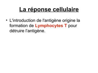La réponse cellulaire
• L'introduction de l'antigène origine la
formation de Lymphocytes T pour
détruire l’antigène.

 