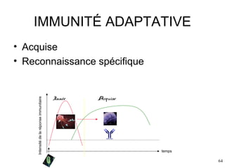 IMMUNITÉ ADAPTATIVE

Intensité de la réponse immunitaire

• Acquise
• Reconnaissance spécifique

Innée

Acquise

temps

64

 