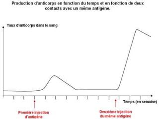 Immunologie