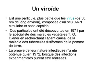 Un viroïde
• Est une particule, plus petite que les virus (de 50
nm de long environ), composée d'un seul ARN
circulaire et sans capside.
• Ces particules ont été découvertes en 1971 par
le spécialiste des maladies végétales T. O.
Diener en recherchant l’agent causal de la
maladie des tubercules fusiformes de la pomme
de terre.
• La preuve de leur nature infectieuse n’a été
obtenue qu’en 1972, lorsque des infections
expérimentales purent être réalisées.

 