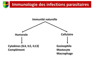 Immunologie des infections parasitaires
Immunité naturelle
Humorale Cellulaire
Cytokines (IL4, IL5, IL13)
Complément
Eosinophile
Mastocyte
Macrophage
 