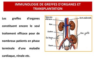 Les greffes d'organes
constituent encore le seul
traitement efficace pour de
nombreux patients en phase
terminale d'une maladie
cardiaque, rénale etc.
IMMUNOLOGIE DE GREFFES D'ORGANES ET
TRANSPLANTATION
 