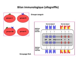 Bilan immunologique (allogrefffe)
Groupe sanguin
Groupage HLA
A
B C
DP DR DQ
 