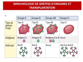 IMMUNOLOGIE DE GREFFES D'ORGANES ET
TRANSPLANTATION
 