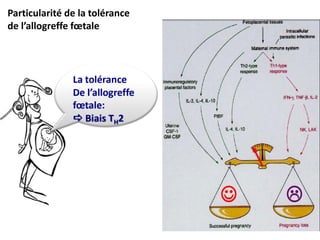Particularité de la tolérance
de l’allogreffe fœtale
 